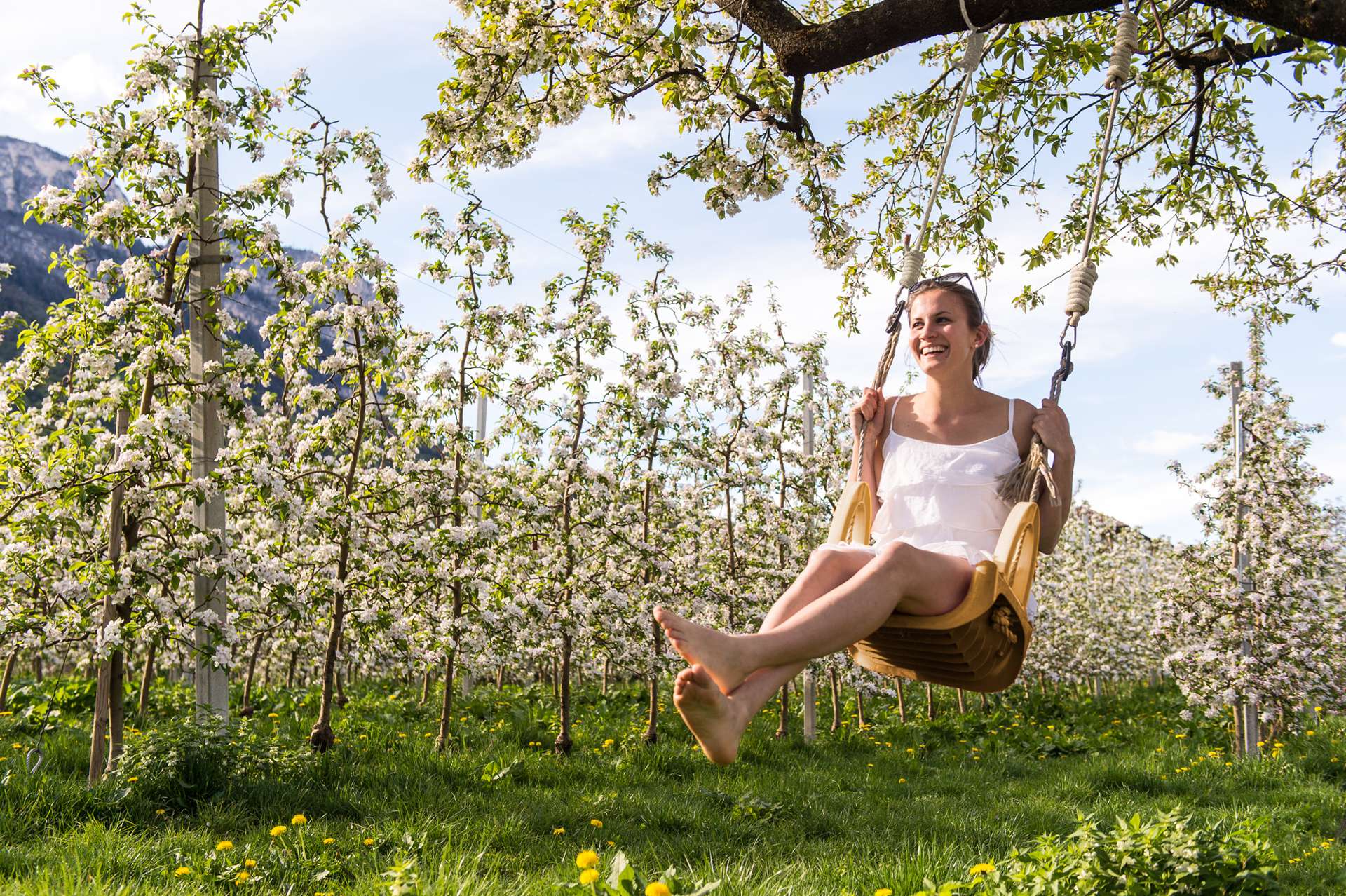 A woman is swinging on a swing, surrounded by blossoming apple trees.